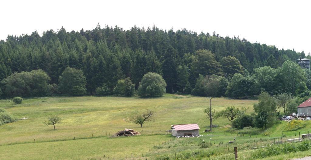Gîtes du Kreuzweg Le Hohwald Exterior foto