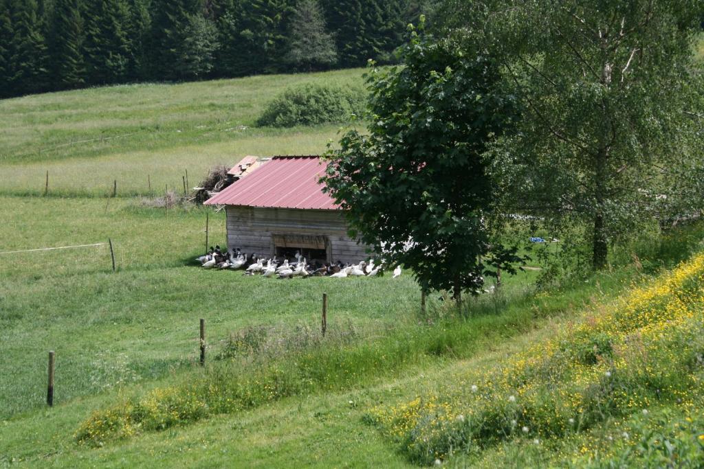 Gîtes du Kreuzweg Le Hohwald Exterior foto